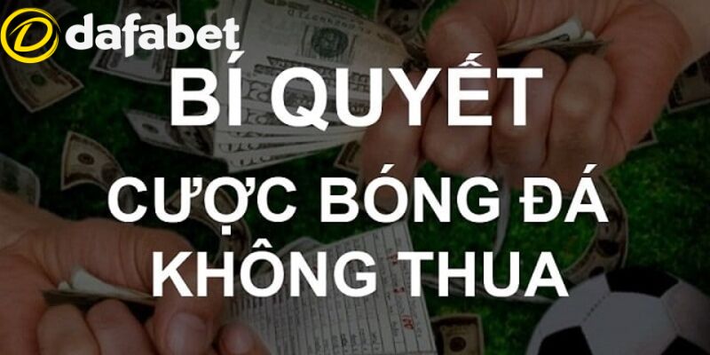 Mẹo chơi Dafabet - Bí quyết cá độ thể thao bất bại